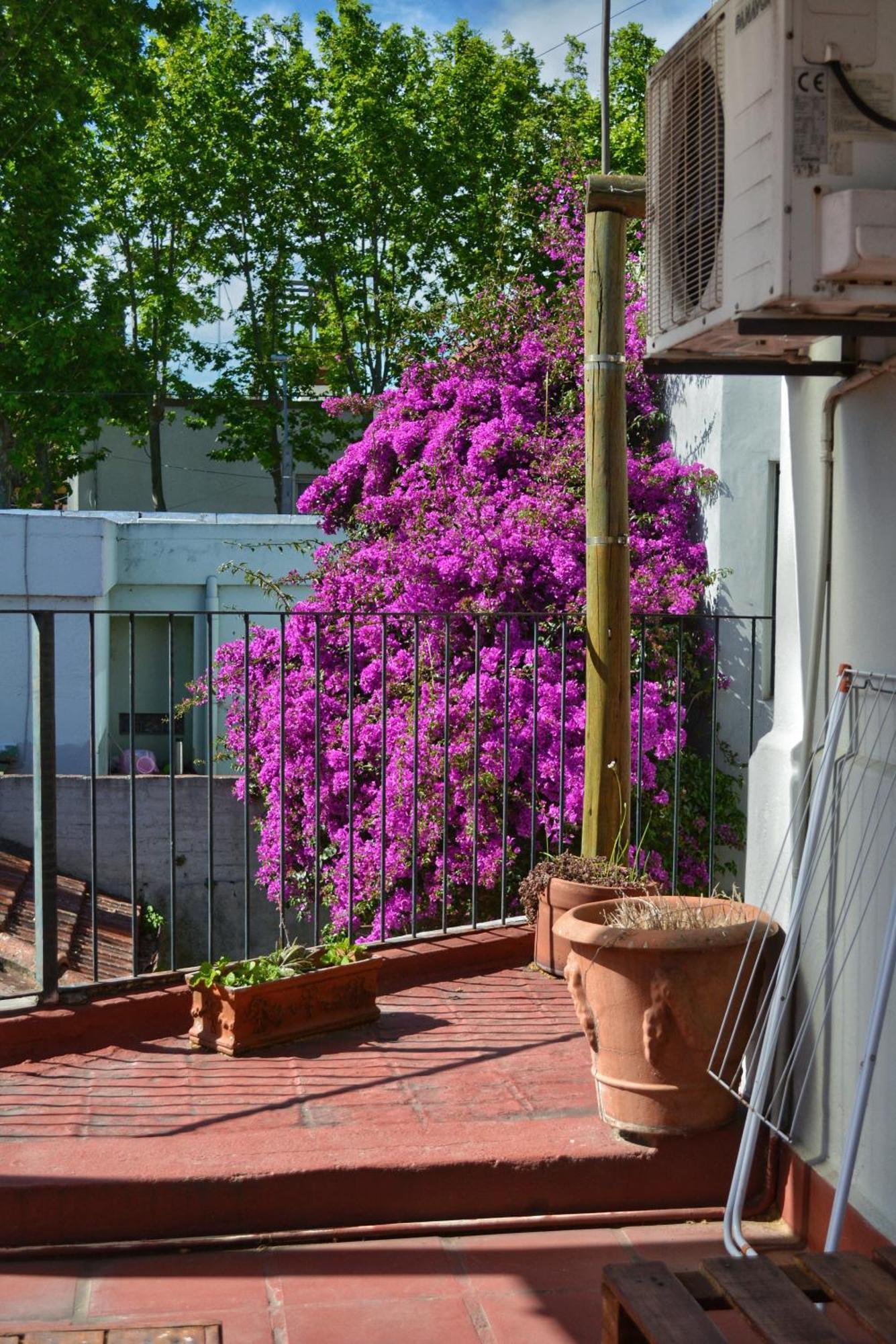 Posada Santa Rita Colonia del Sacramento Bagian luar foto